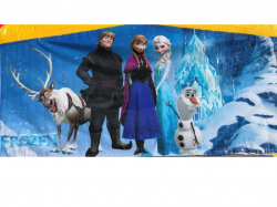 Frozen20Banner 1645846732 Royal Castle Bounce House with Slide Dual Lane (Wet or Dry)