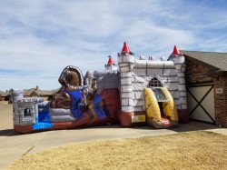 20220316 130924 1647521597 Knight Castle Bounce House and Slide (Wet or Dry)