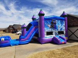 20220316 142056 1654356704 Royal Castle Bounce House with Slide Dual Lane (Wet or Dry)