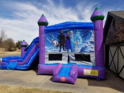 Royal Castle Bounce House with Slide Dual Lane (Wet or Dry)