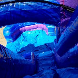 Royal Castle Bounce House with Slide Dual Lane (Wet or Dry)