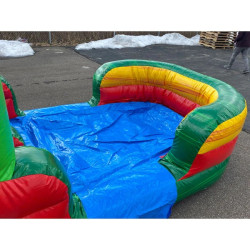 C 288 Palm Tree Combo 02 1770864805 Tropical Palm Tree Dual Lane Combo Bounce house with slides (New in 2026)