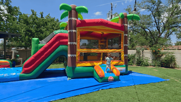 Bounce Houses with Slides (Wet or Dry)